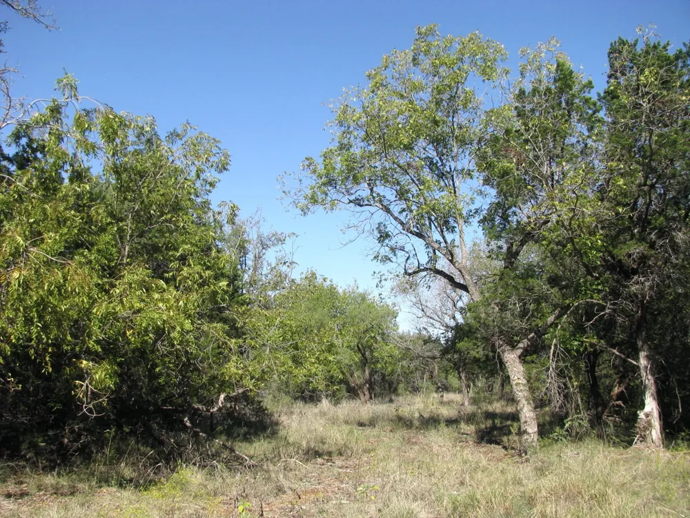 PR 42112 Evant, TX 76525