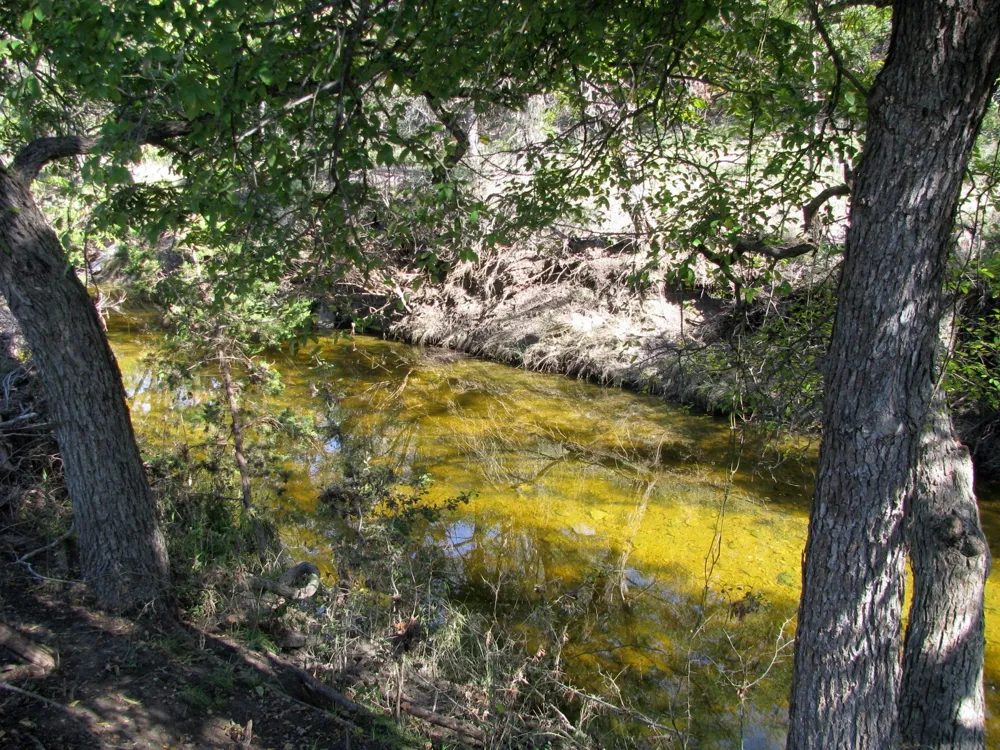 PR 42112 Evant, TX 76525