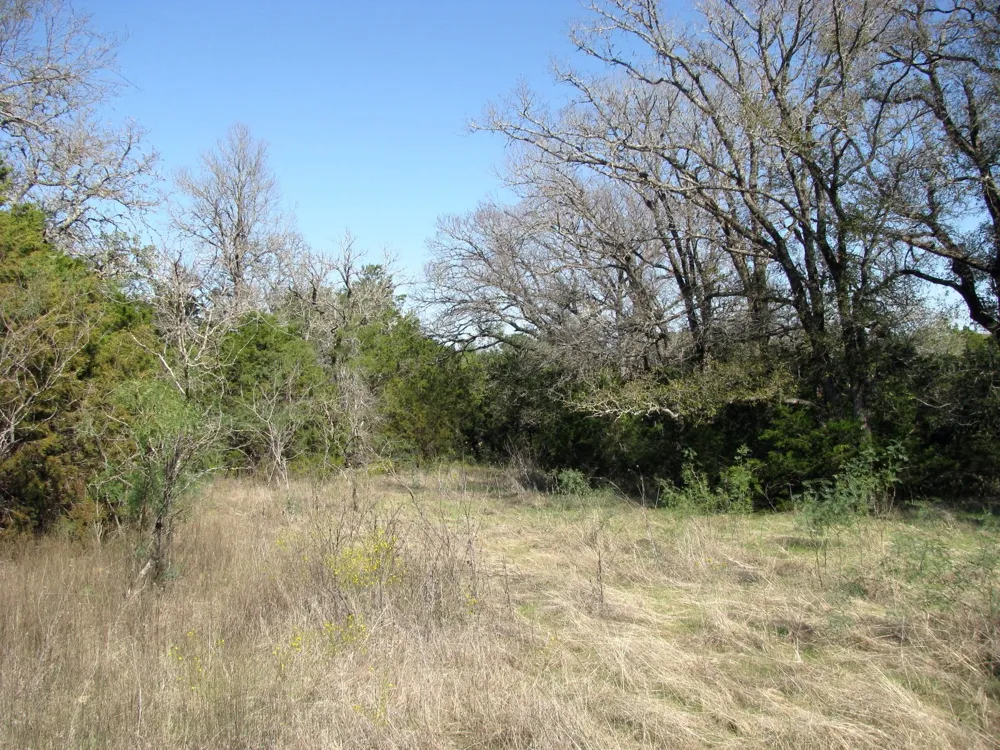 PR 42112 Evant, TX 76525