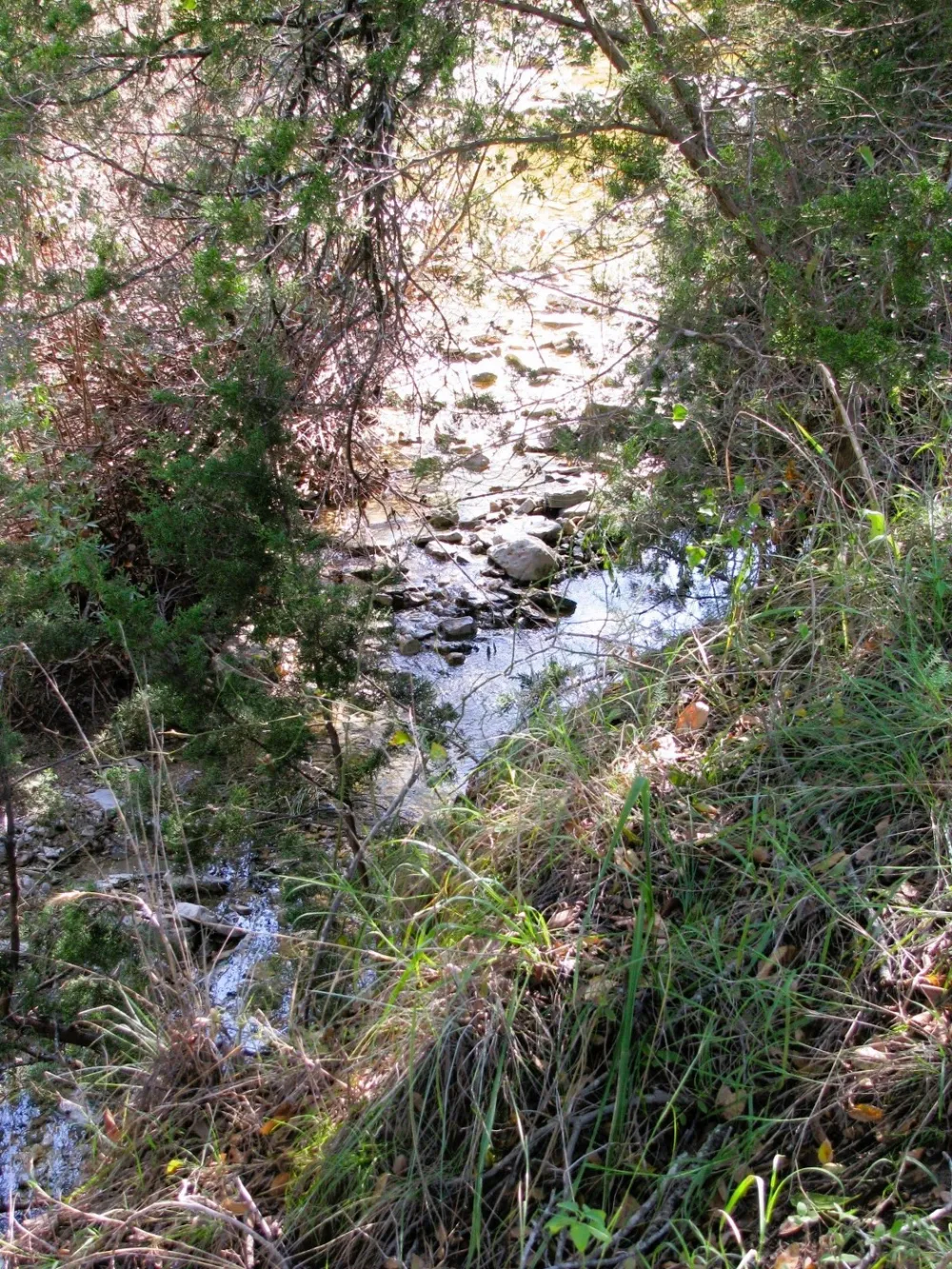 PR 42112 Evant, TX 76525