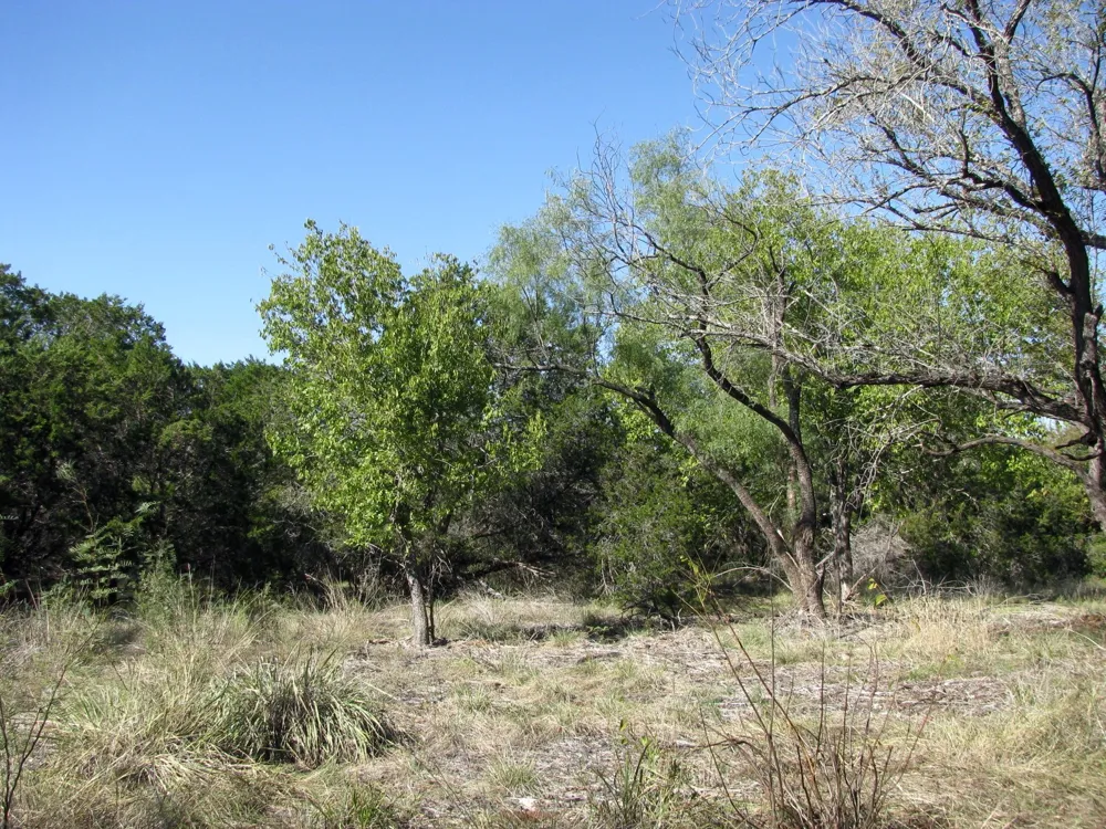 PR 42112 Evant, TX 76525