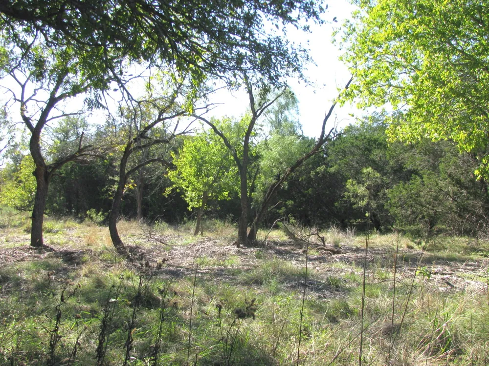 PR 42112 Evant, TX 76525
