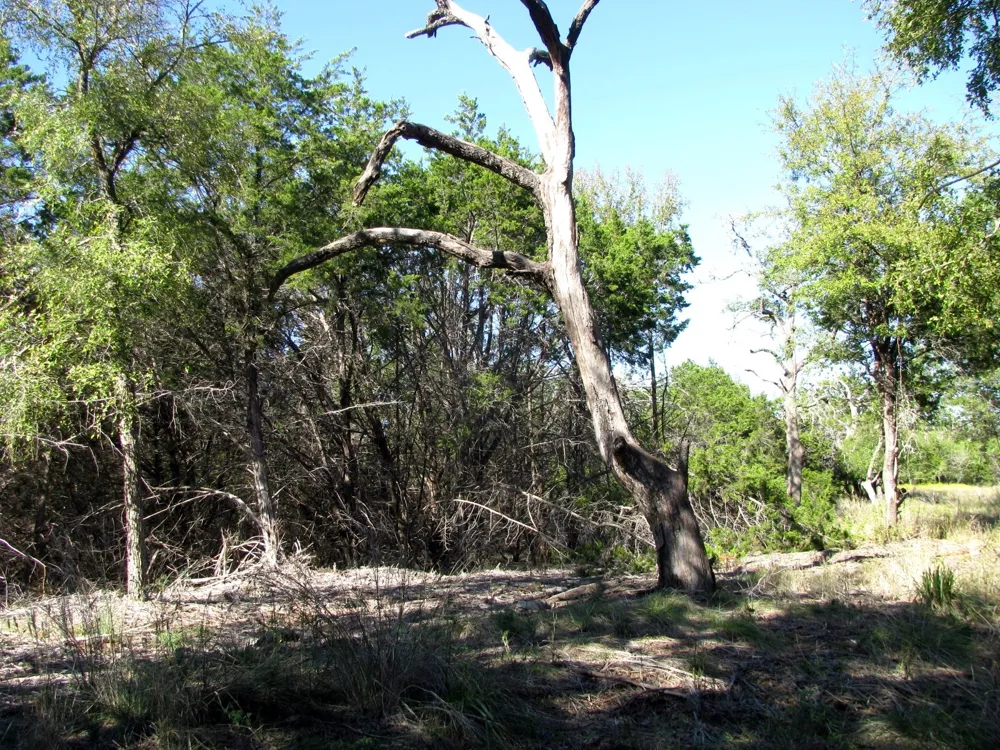 PR 42112 Evant, TX 76525