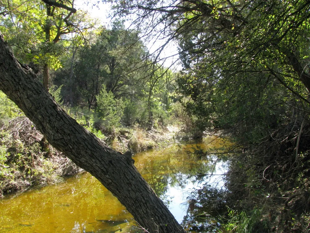 PR 42112 Evant, TX 76525