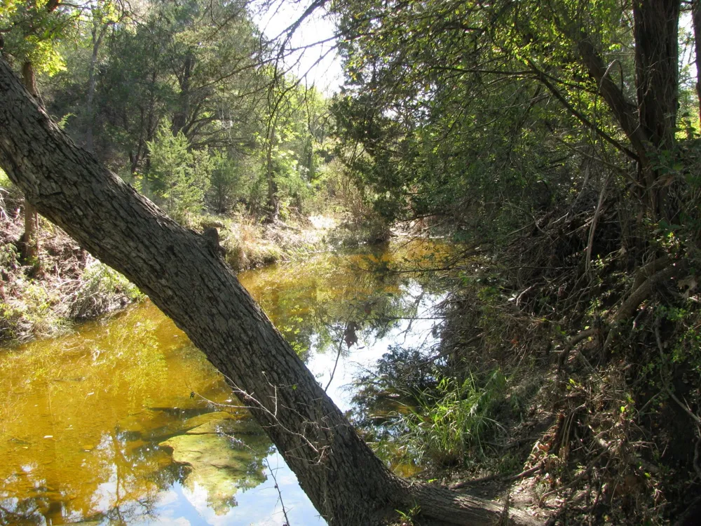 PR 42112 Evant, TX 76525