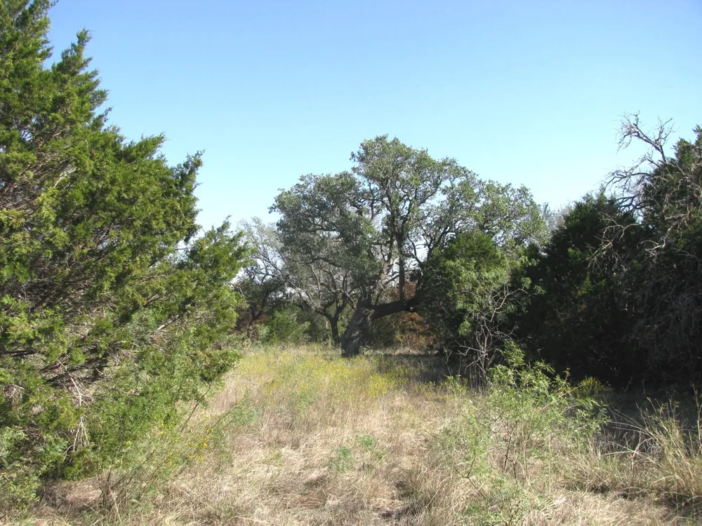 PR 42112 Evant, TX 76525