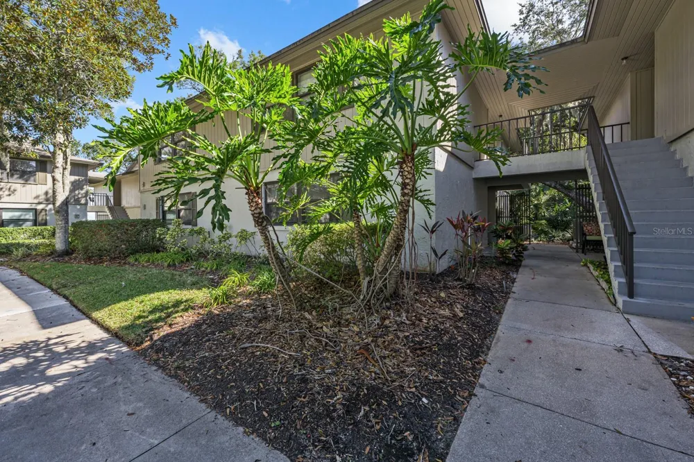 37 ALCIRA COURT #37 St Augustine, FL 32086