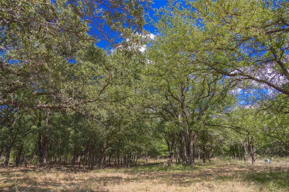 CR 452 De Leon, TX 76444