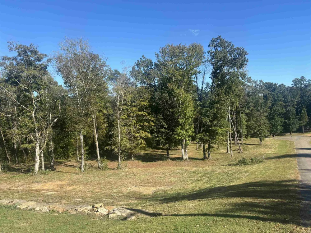 0 MARIAH LN Bath Springs, TN 38311