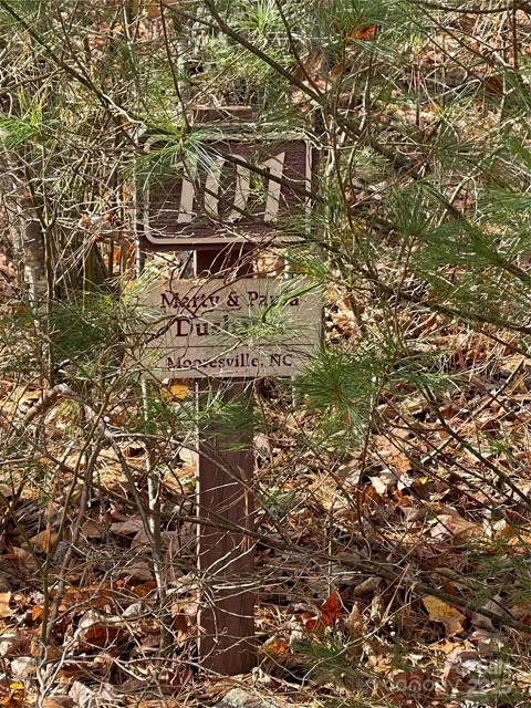 00 Pinnacle Falls Lane