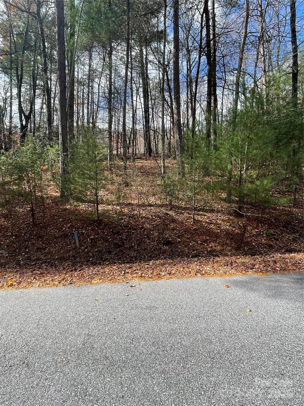 00 Pinnacle Falls Lane Zirconia, NC 28790