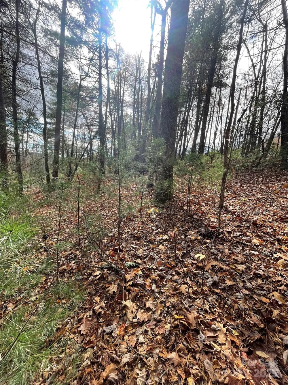 00 Pinnacle Falls Lane Zirconia, NC 28790