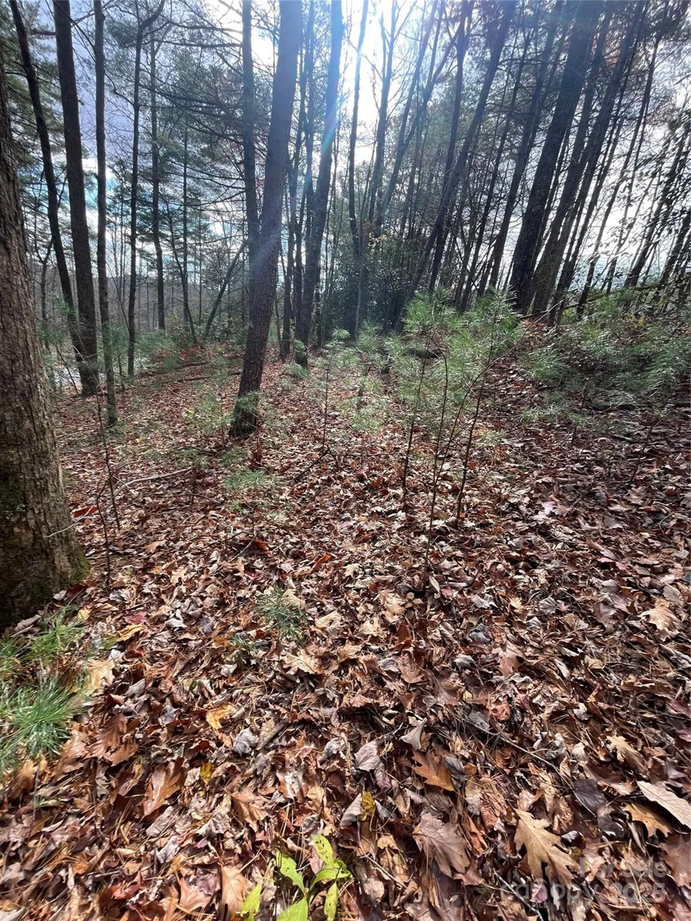 00 Pinnacle Falls Lane Zirconia, NC 28790