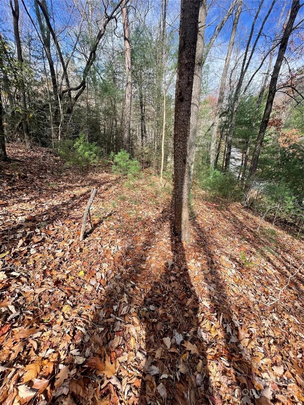 00 Pinnacle Falls Lane Zirconia, NC 28790
