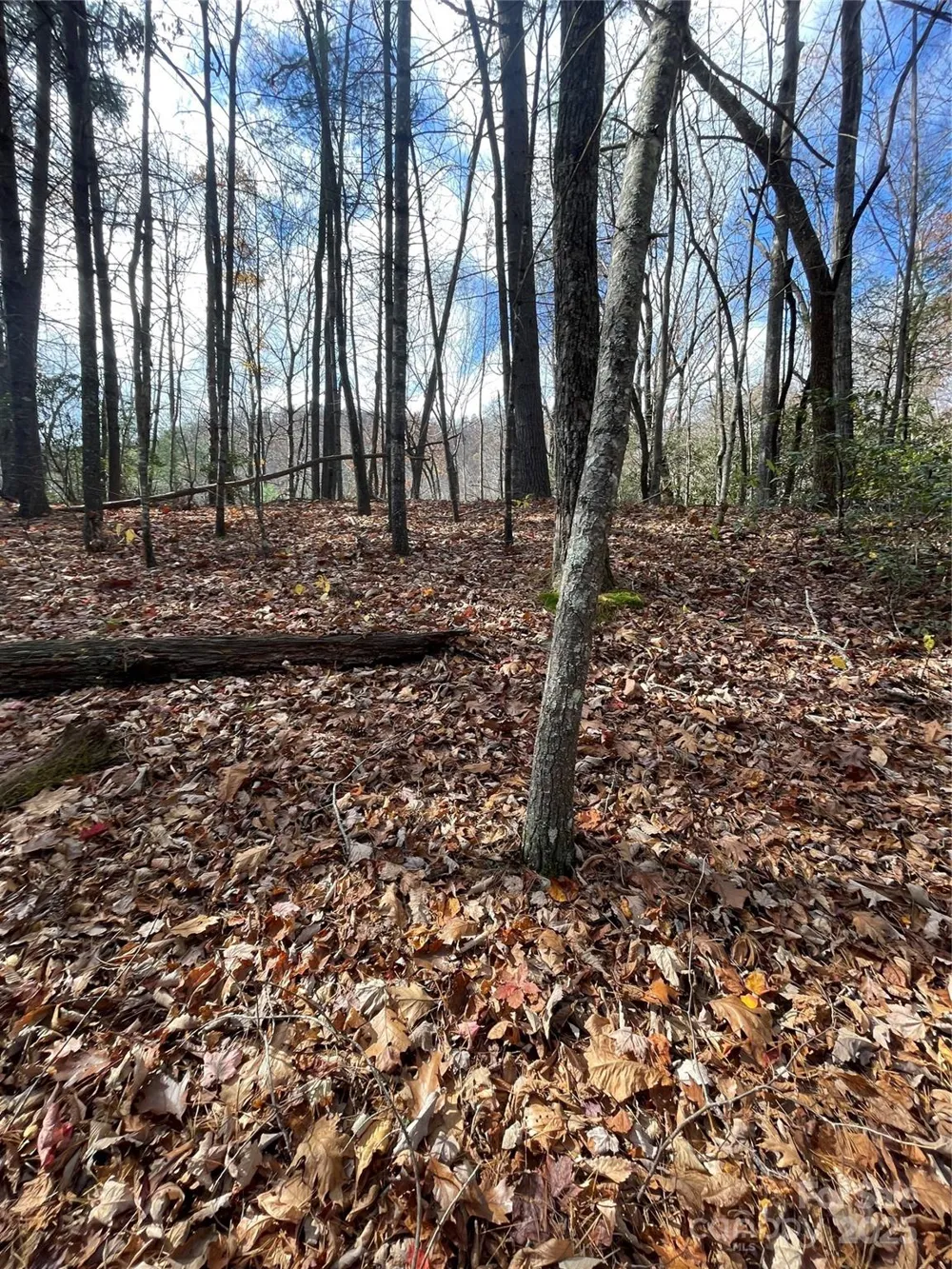 00 Pinnacle Falls Lane Zirconia, NC 28790