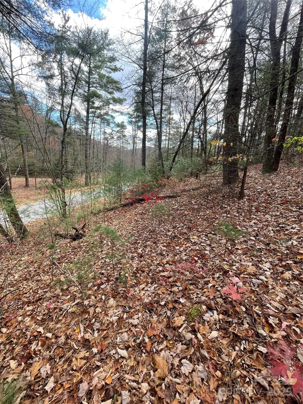 00 Pinnacle Falls Lane Zirconia, NC 28790