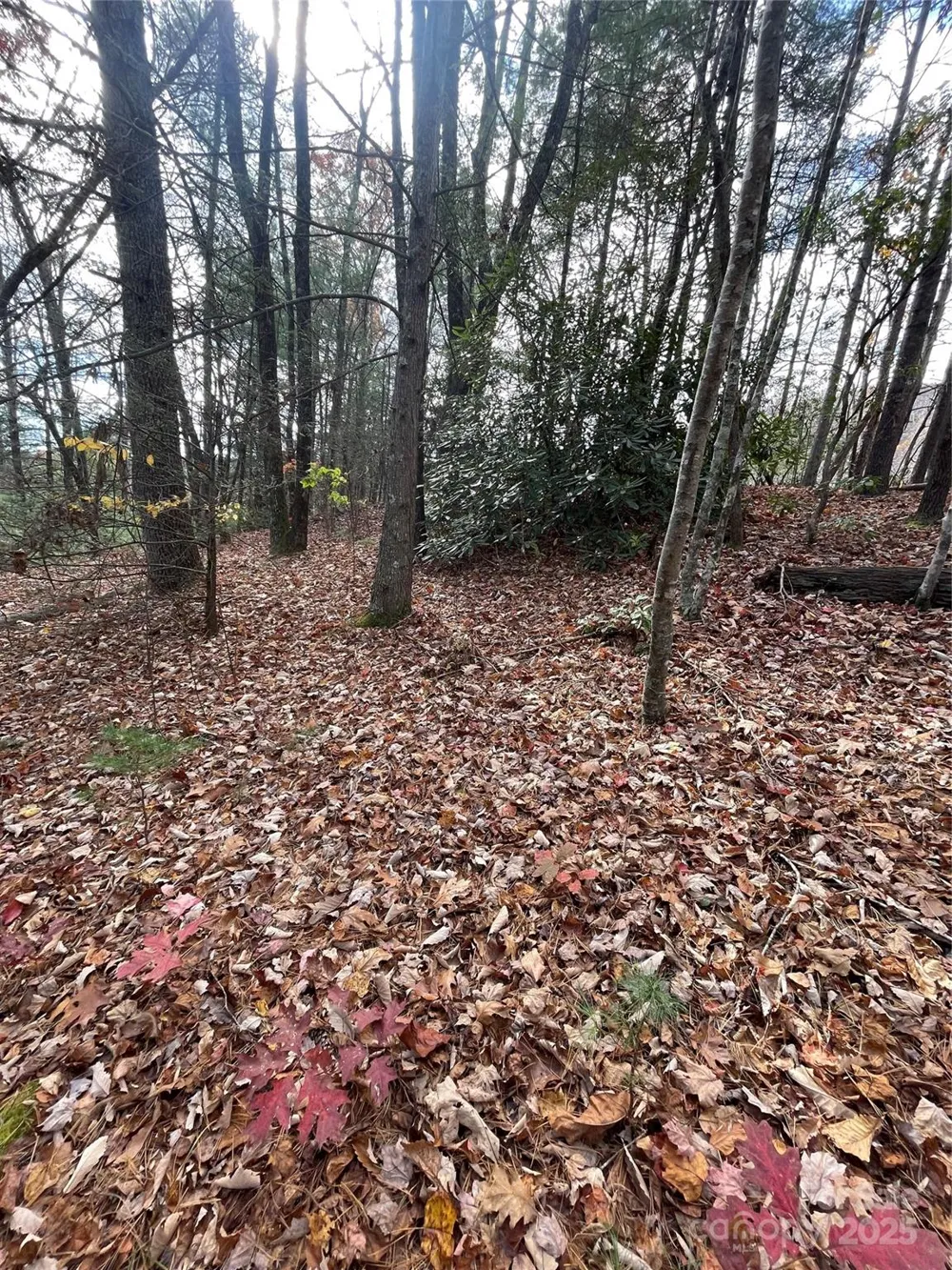 00 Pinnacle Falls Lane Zirconia, NC 28790