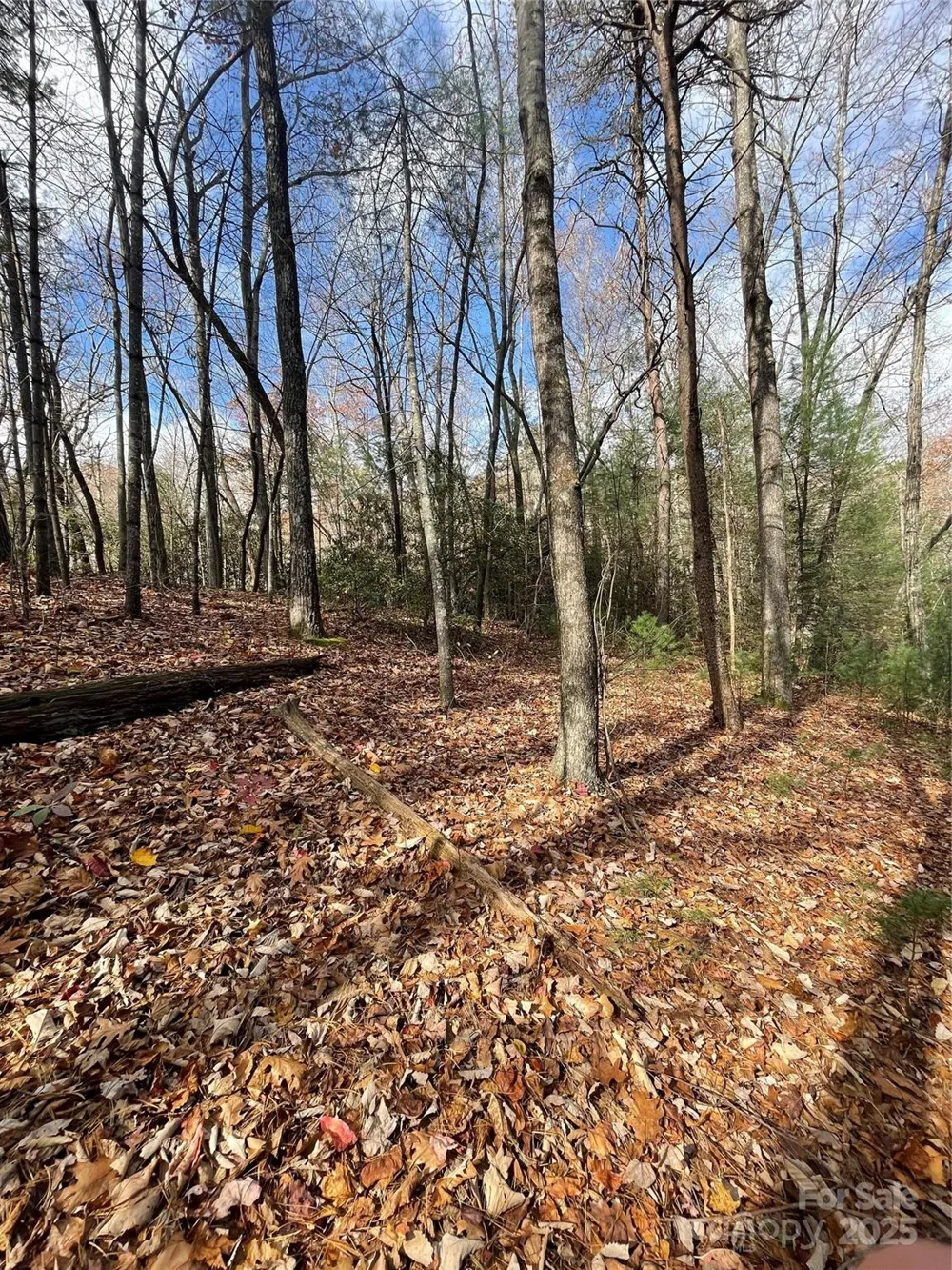 00 Pinnacle Falls Lane Zirconia, NC 28790