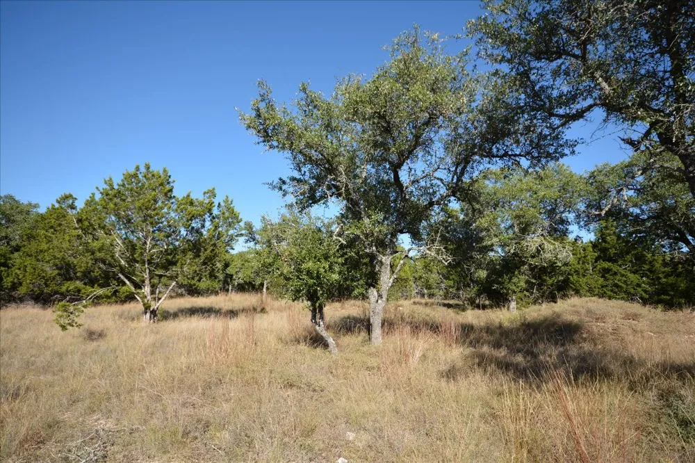 121 S JESSE STIFF DRIVE Blanco, TX 78606
