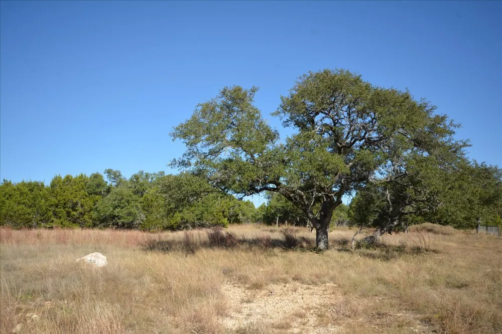 121 S JESSE STIFF DRIVE Blanco, TX 78606