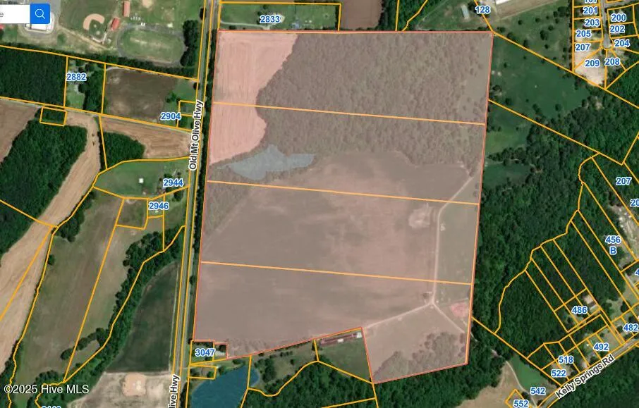 1 Old Mount Olive Highway