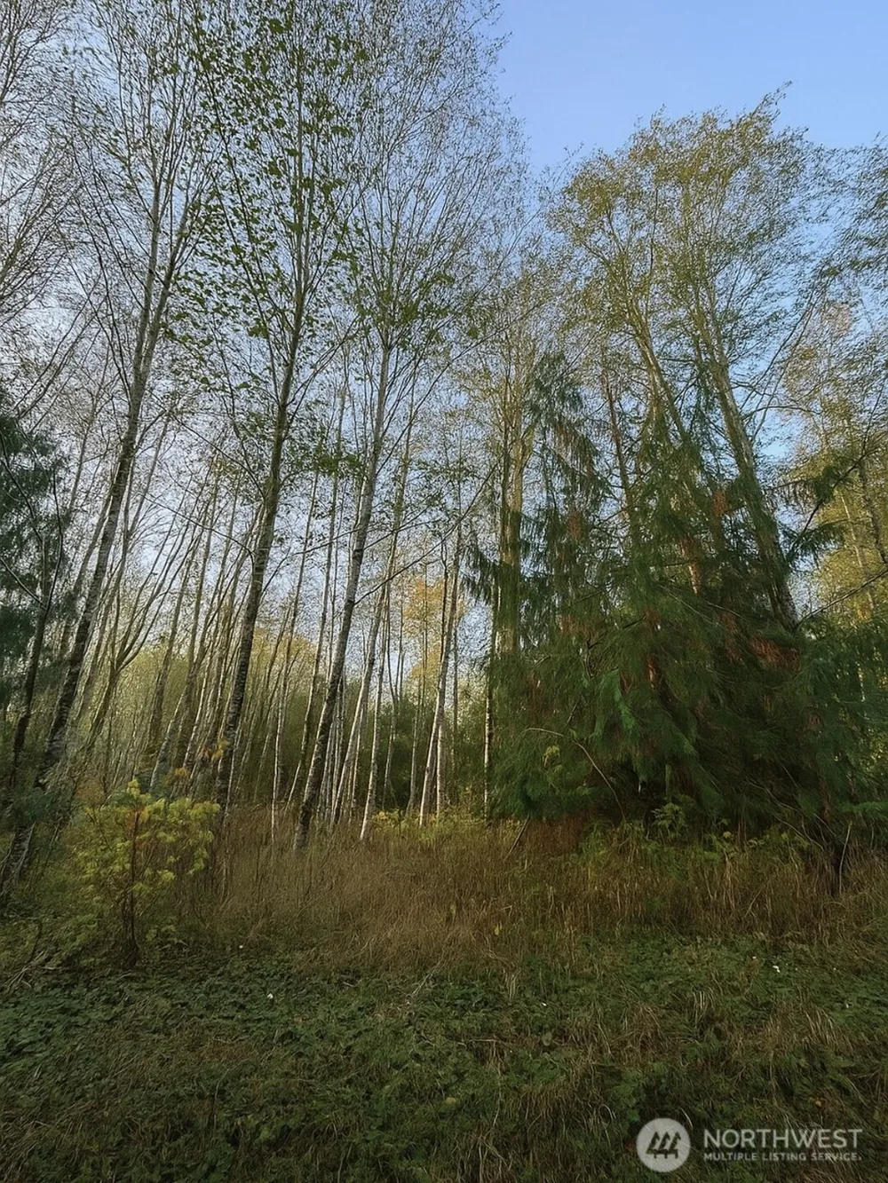 131 chimacum Drive Elma, WA 98541