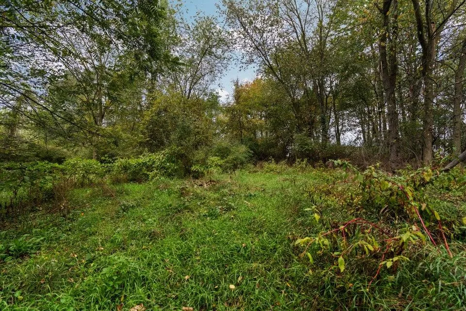 3237 Ann Street Fowlerville, MI 48836