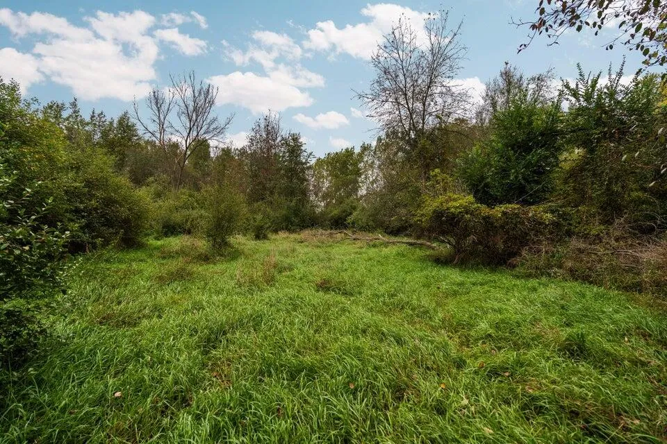 3237 Ann Street Fowlerville, MI 48836