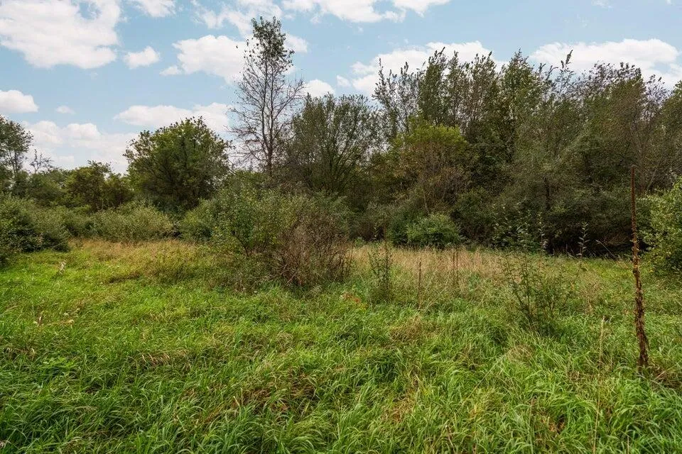 3237 Ann Street Fowlerville, MI 48836