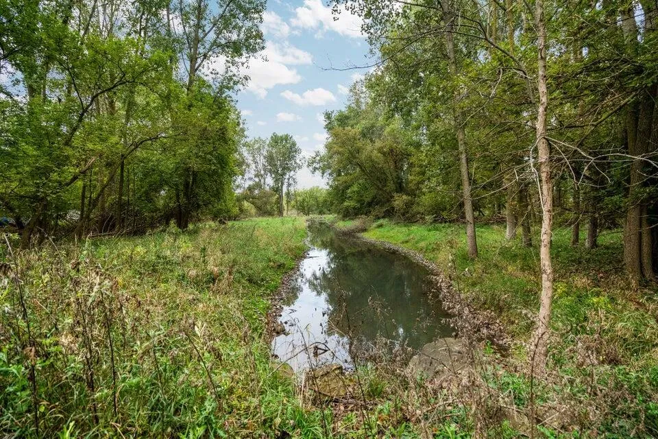 3237 Ann Street Fowlerville, MI 48836