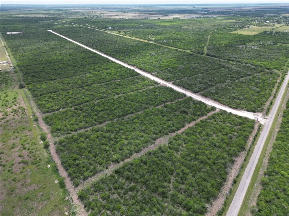 7360 Corrigan Ranch Drive- Tract 7 Skidmore, TX 78389
