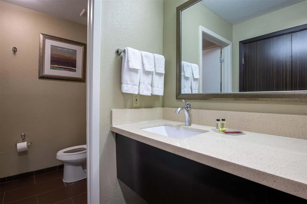 18828 State Highway 249 #124 Houston, TX 77070