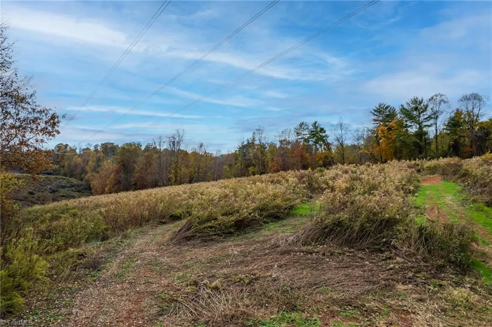 TBD Billings Hill Church Road Traphill, NC 28685