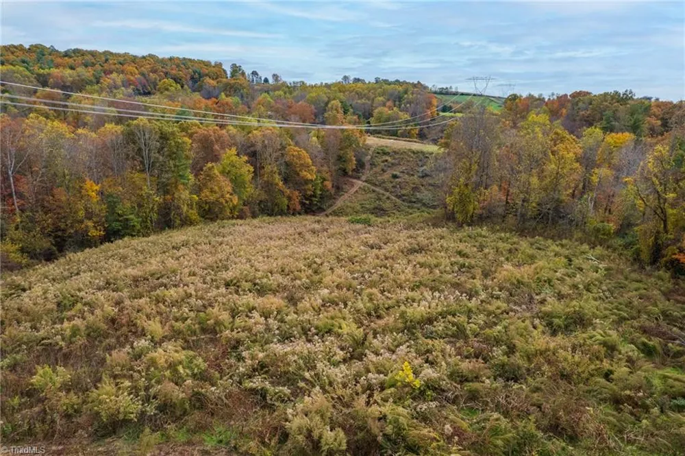 TBD Billings Hill Church Road Traphill, NC 28685