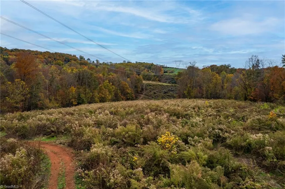 TBD Billings Hill Church Road Traphill, NC 28685