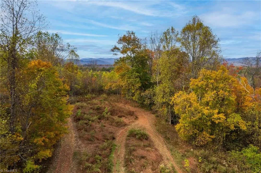 TBD Billings Hill Church Road Traphill, NC 28685