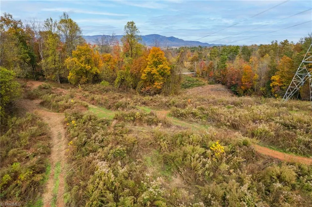 TBD Billings Hill Church Road Traphill, NC 28685
