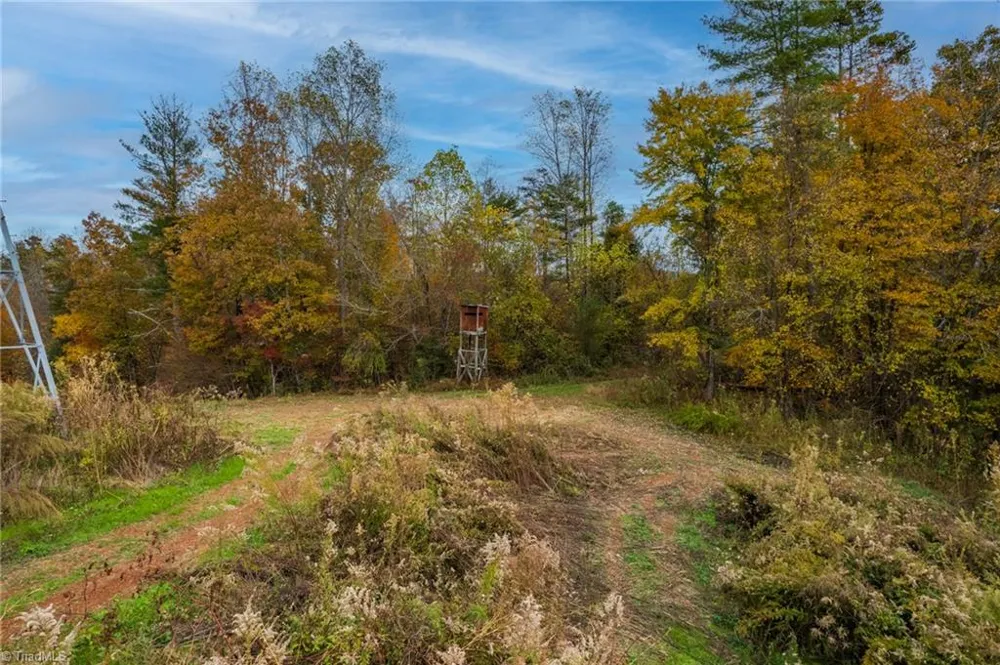TBD Billings Hill Church Road Traphill, NC 28685