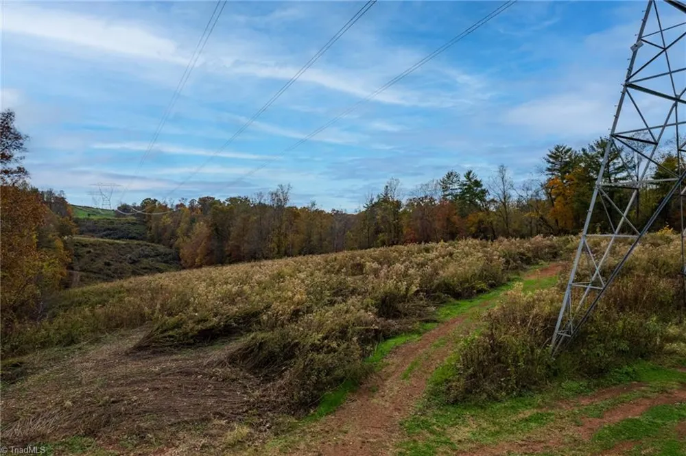 TBD Billings Hill Church Road Traphill, NC 28685
