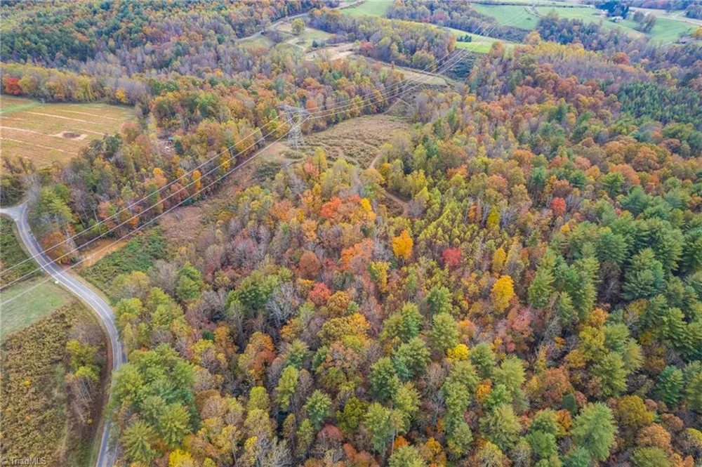 TBD Billings Hill Church Road Traphill, NC 28685