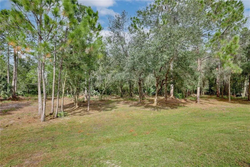 1255 FLINT TRAIL Geneva, FL 32732