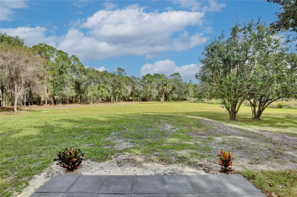 1255 FLINT TRAIL Geneva, FL 32732