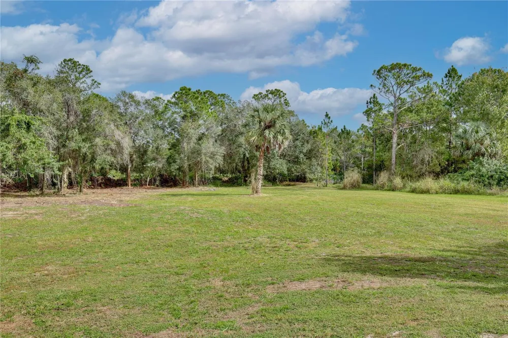 1255 FLINT TRAIL Geneva, FL 32732