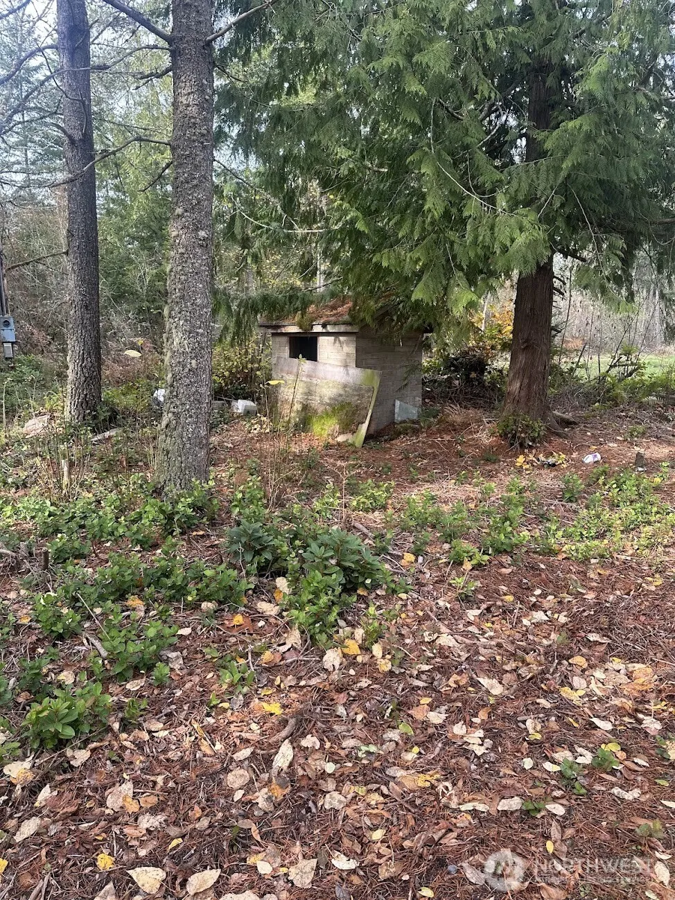 15818 153rd Avenue SE Yelm, WA 98597