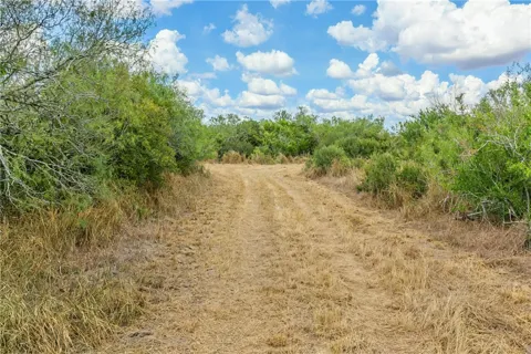 1121 County Road 481