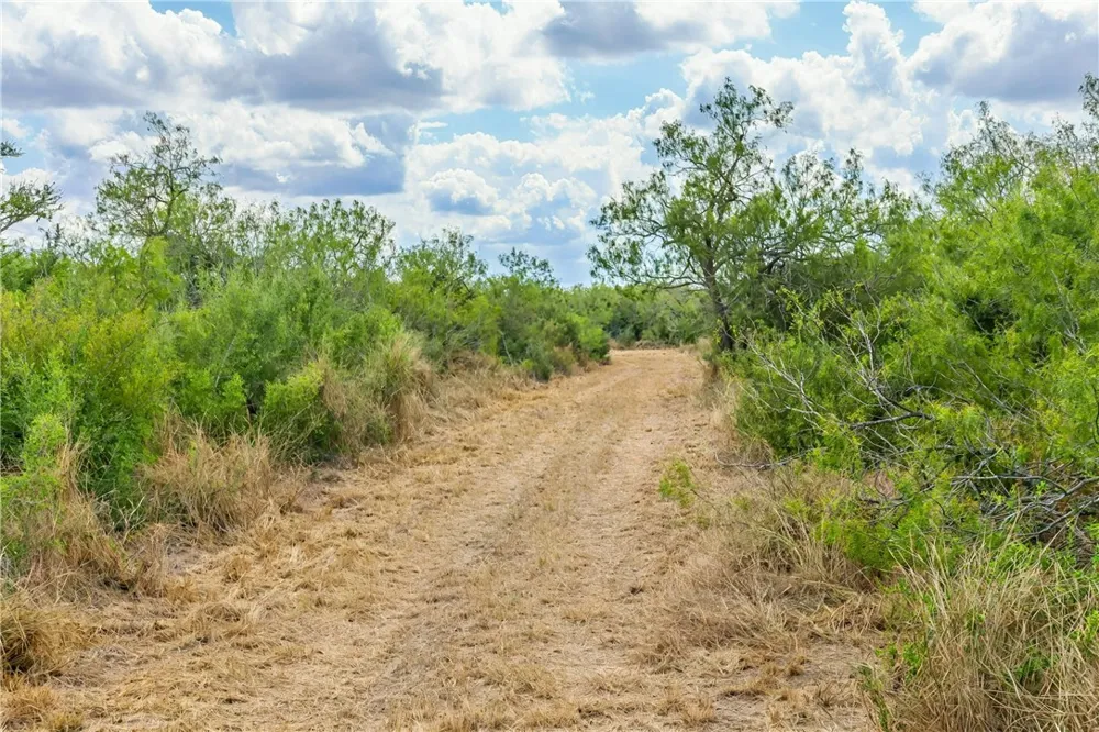 1121 County Road 481 Alice, TX 78332