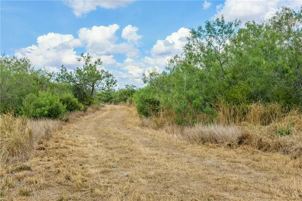 1121 County Road 481 Alice, TX 78332