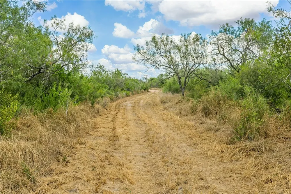 1121 County Road 481 Alice, TX 78332