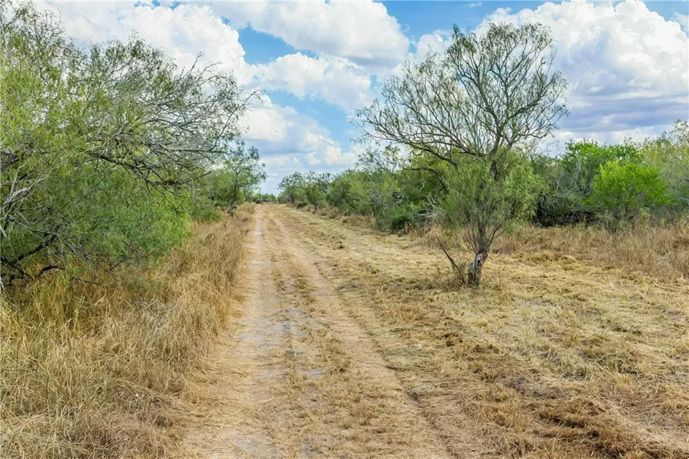1121 County Road 481 Alice, TX 78332