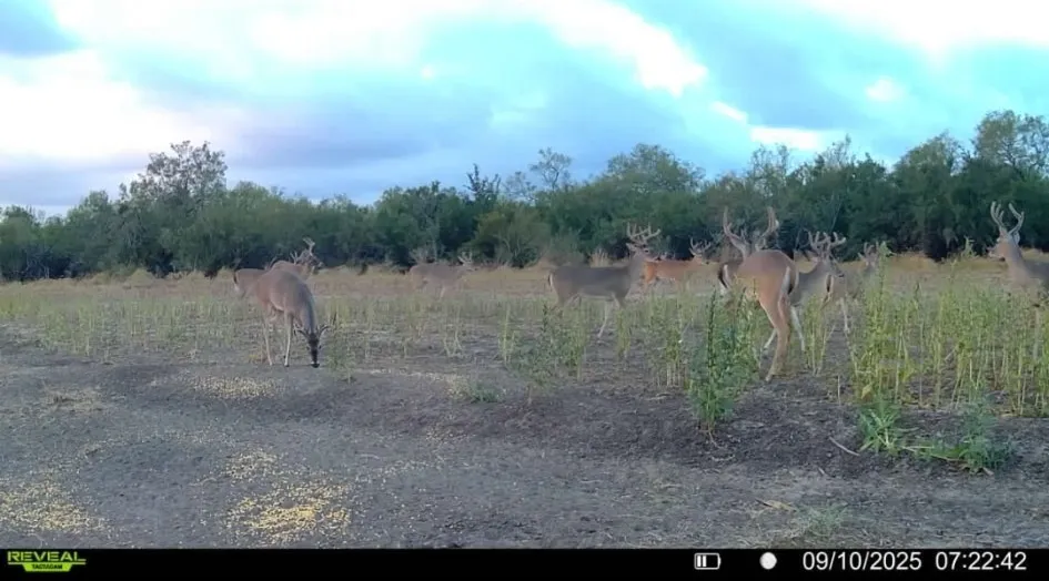 1121 County Road 481 Alice, TX 78332